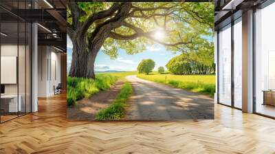 green landscape of Normandy, spring time, blue sky, road in the foreground Wall mural