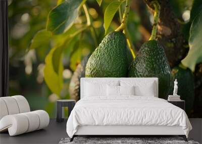 product shot ripe avocado on the tree Wall mural