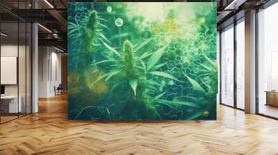 cannabis. green marijuana background Wall mural