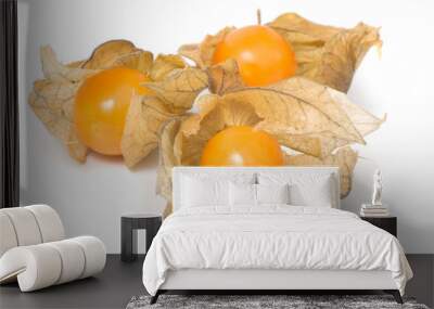 physalis Wall mural