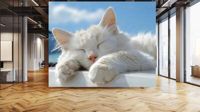 Sleeping white cat in the sunlight. Peaceful nap of a fluffy white cat. Wall mural