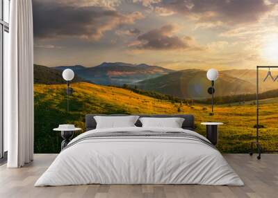 agricultural field in mountains at sunset Wall mural