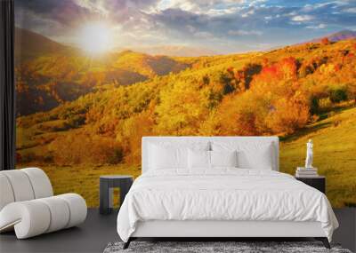 beautiful autumn mountain landscape at sunset. colorful scenery with trees in fall foliage on the hills and meadows in evening light. beauty in nature concept Wall mural