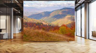 beautiful mountain landscape with valley. sunny morning in carpathian countryside. trees in colorful foliage and rural fields on the hills Wall mural