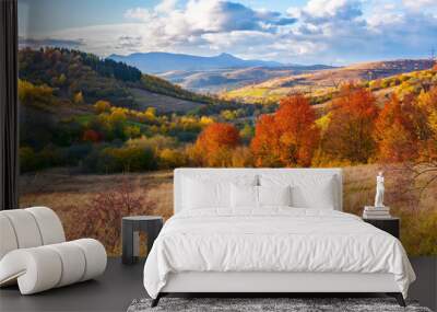 beautiful view in to the rural valley. autumn scenery on a sunny afternoon. clouds above the distant ridge with high peak Wall mural