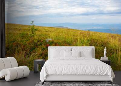 carpathian nature landscape with grassy hills. mountain scenery in late summer. cloudy morning. yellow grass Wall mural