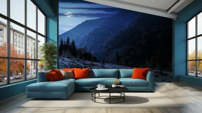 coniferous forest on a mountain slope at night Wall mural