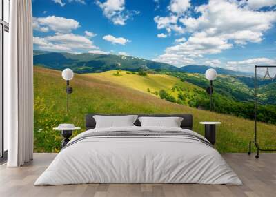 grassy meadow in mountains. wonderful nature landscape. sunny summer day. clouds on the sky Wall mural