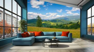 grassy meadows in carpathian mountains. stunning countryside scenery in summer. fluffy clouds on the sky on a warm sunny day Wall mural