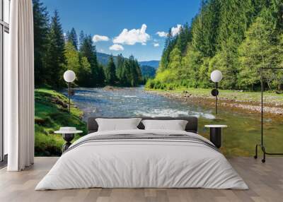 landscape with mountain river among spruce forest. beautiful sunny morning in springtime. grassy river bank and rocks on the shore. waves above boulders in the water. white fluffy cloud on the blue sk Wall mural