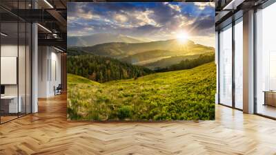 landscape with valley and forest in high mountains at sunset Wall mural