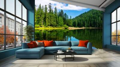 mountain lake in summertime. great outdoor nature scenery. coniferous forest with tall trees on the shore reflecting in clear water. deep blue sky with clouds. beautiful landscape Wall mural