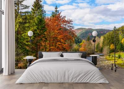 Mountain river in autumn forest Wall mural