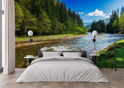 mountain river in spring. rapid water flow through forested valley. beautiful nature scenery with grassy shore. sunny weather with fluffy clouds on the sky in morning light Wall mural