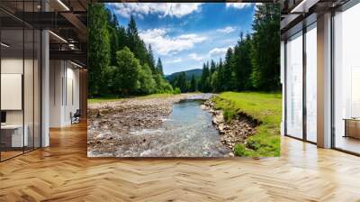 mountain river runs through countryside valley. beautiful green nature landscape in summer. stones on the grassy shore on a sunny day. clouds on the blue sky Wall mural