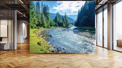 mountain river winding through forest. beautiful nature scenery in autumn. spruce trees by the shore. wonderful piece of synevyr national park landscape in good weather with clouds Wall mural