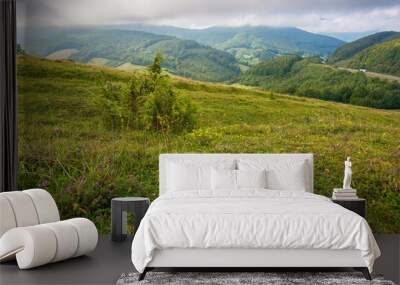 mountain road through countryside on a cloudy morning. beautiful landscape in september Wall mural