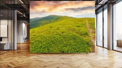 narrow lane through the hill. mountainous summer countryside scenery in evening light Wall mural