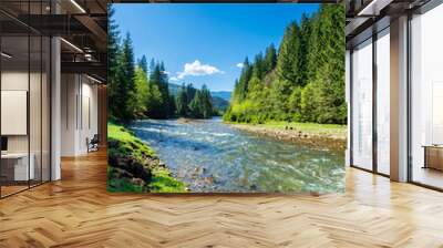 nature scene with mountain river. spring vacation in sunny valley of synevyr national park, ukraine. grassy meadow on the shore, ridge in the distance. beauty of tranquil ecology environment Wall mural