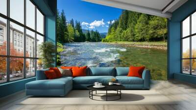 nature scene with mountain river. spring vacation in sunny valley of synevyr national park, ukraine. grassy meadow on the shore, ridge in the distance. beauty of tranquil ecology environment Wall mural