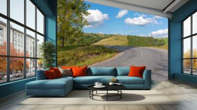 old country road in carpathian mountains. landscape in early autumn. trees on the roadside in evening light. blue sky with fluffy clouds Wall mural