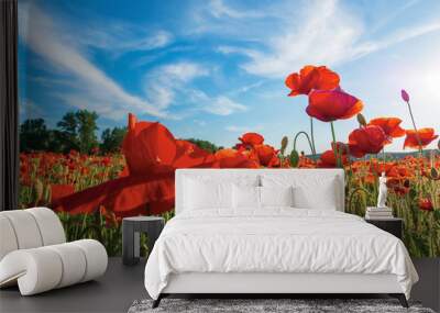 poppy field on a sunny afternoon. stunning rural landscape with red flowers in mountains. bright blue sky with fluffy clouds. summer countryside outdoors happy days memories concept Wall mural