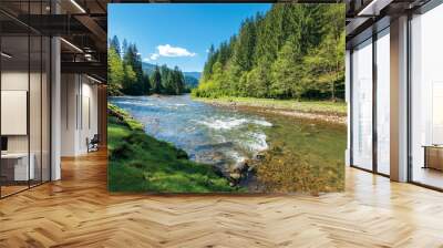 rapid mountain river in spruce forest. wonderful sunny morning in springtime. grassy river bank and rocks on the shore. waves above boulders in the water. beautiful nature scenery Wall mural