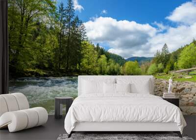 river in mountains. wonderful springtime scenery of carpathian countryside. blue green water among forest and rocky shore. wooden fence on the river bank. sunny day with clouds on the sky Wall mural