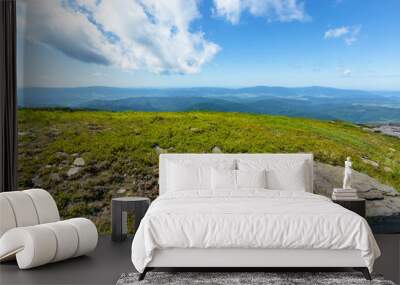 rocks on the alpine meadow. wonderful summer scenery of runa mountain. rural valley in the distance. sunny weather with fluffy clouds on the blue sky Wall mural