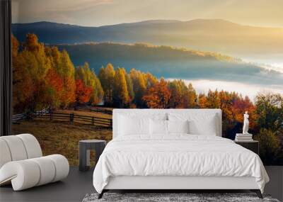 rural field and orchard in autumn at sunrise. mountainous countryside with fog in distant wally Wall mural