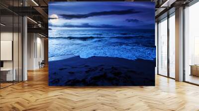 sandy beach at night. beautiful seascape background. calm waves washing the shore. clouds glowing in full moon light. summer vacation and relaxing recreation concept Wall mural