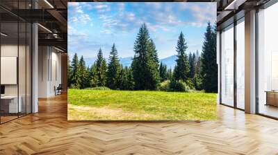 spruce forest on a sunny day. scenic summer landscape of natural park in poland. green outdoor nature environment. high tatra ridge in the distance beneath a gorgeous sky with clouds Wall mural