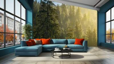 spruce forest on the hill in morning light. lovely nature scenery in haze Wall mural