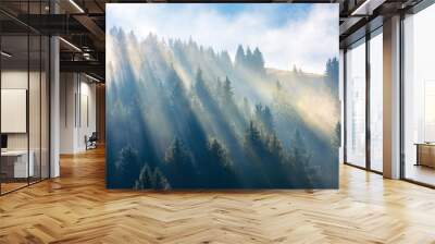 sun light through fog and clouds above the forest. spruce trees on the hill viewed from below. fantastic nature scenery. morning motivation concept Wall mural