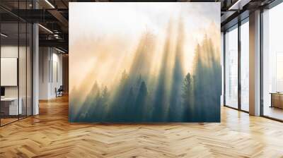 sun light through fog and clouds above the forest. spruce trees on the hill viewed from below. magical nature scenery in autumn. beautiful morning dreams concept Wall mural