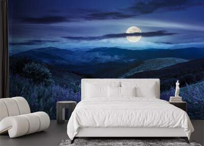 wild flowers on the mountain top at night Wall mural