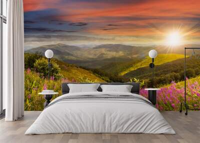 wild flowers on the mountain top at sunset Wall mural