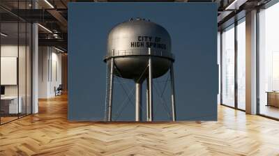 City of High Springs  Florida water tower Wall mural