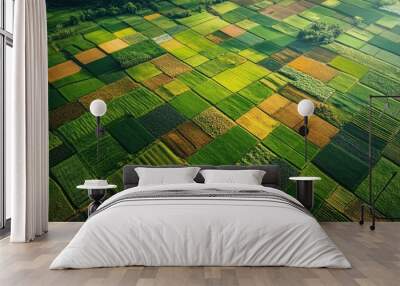 Aerial View of a Patchwork of Green and Gold Farmland Wall mural