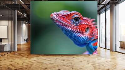 Close up of beautiful chameleon on green blur background. Wall mural