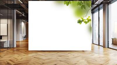 Botany green leaves background png  Wall mural