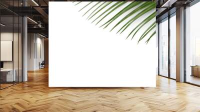 Botany palm tree leaves PNG Form  Wall mural