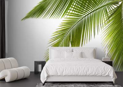 Natural palm tree leaf isolated on White background PNG Form  Wall mural