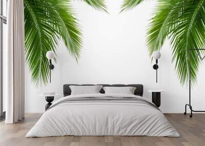 palm tree isolated on white background Wall mural