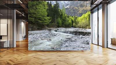 Mountain river in the alps Wall mural