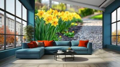 A row of blooming daffodils along a garden path, with bright yellow flowers and green leaves under the spring sun. Wall mural