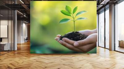 Hands cupping a small, growing seedling, with a blurred background of greenery, symbolizing care and nurturing nature. Wall mural