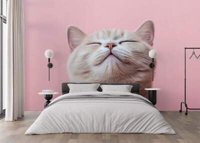 A close-up portrait of a fluffy white cat looking up with its eyes closed and a peaceful expression, against a soft pink background. Wall mural