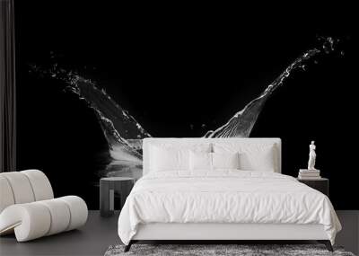 water splash isolated on black background. 3D illustration Wall mural