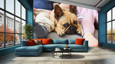 brown french bulldog lies with children on the sofa. Close up Wall mural